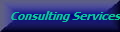 Consulting Services