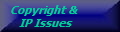 Copyright &
 IP Issues