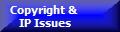 Copyright &
 IP Issues