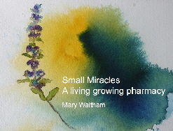 Small Miracles
