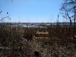 Wetlands