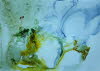 Sedimentation layers 11