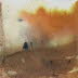 Climate Fires 6