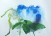 False solomons seal (Maianthemum racemosa)