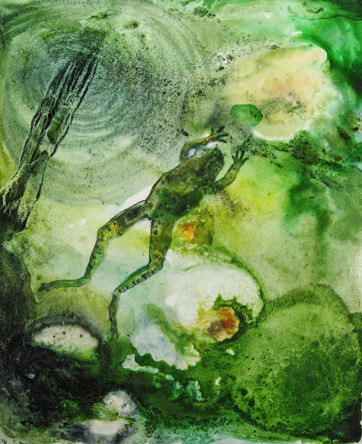 Frog