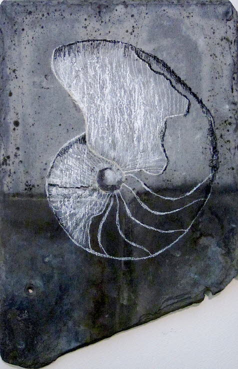 Goniatites vanuxem, 390 mya. First found in Marcellus shale