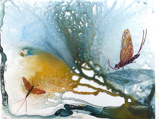 Mayflies