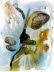 Dwarf Wedge Mussel